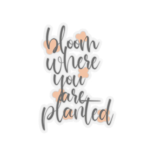 Bloom where you planted sticker You are kind Beautiful sticker motivational sticker Magical stickers loved gift for her flower sticker