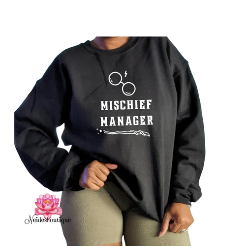 Universal Studios sweatshirts, Mischief Manager Supporter SweatsShirt, Wizard House School Shirts, Universal Studios Family Shirts