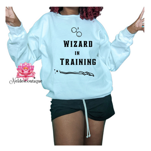 Wizard in  Training,Universal Studios Shirts, Mischief Manager Supporter Shirt, Wizard House School Shirts, Universal Studios Family Shirts