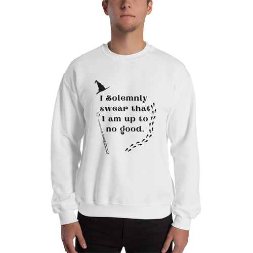 I solemnly swear HP Sweater, UNISEX SWEATER, Wizard sweater